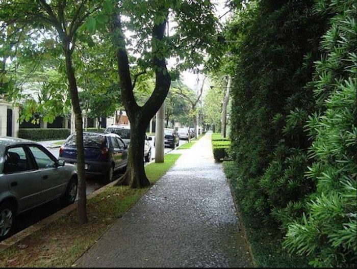 ruas e árvores no bairro Jardim América