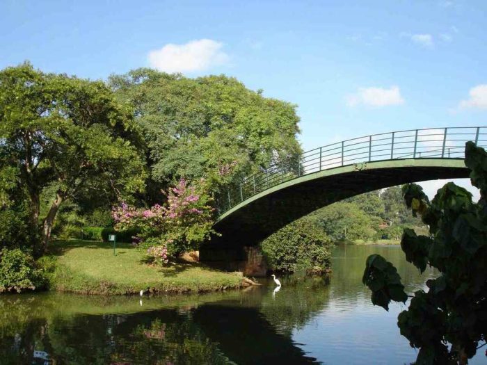 Parque Ibirapuera no bairro Vila Mariana