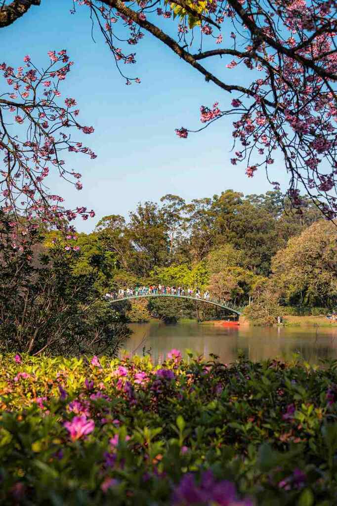 Parque Ibirapuera em São Paulo